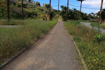 Abandono del Parque de las Mil Palmeras del Valle de Jinámar/TA.